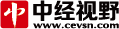 中经视野研究院